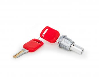 Личинка с ключом для автомата Альфа